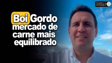 Boi gordo começa Abril com preços firmes e mercado de carne mais equilibrado, Bernardino analisa