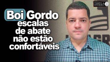 Boi gordo: escalas de abate não estão confortáveis feriados dão folego ao mercado, comenta H. Neto