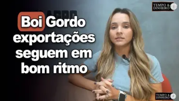 Boi gordo: exportações em bom ritmo para carnes bovinas, aves e suínos, informa Isabela Camargo