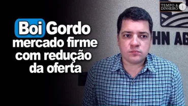 Mercado firme com redução da oferta. Final de safra menos pressionada? Hyberville Neto comenta