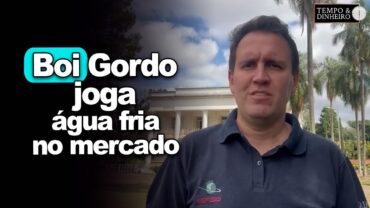 Boi gordo joga água fria no mercado em semana curta e a última de abril, informa Thiago Bernardino