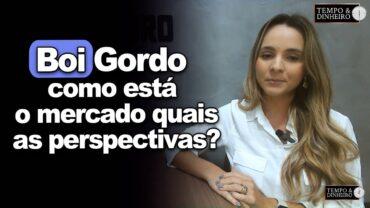 Boi gordo: como está o mercado neste mês de abril e quais perspectivas? Isabella Camargo