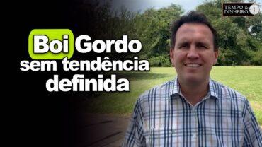 Boi gordo com semana mais curta e sem tendência definida, informa Thiago Bernardino, do CEPEA