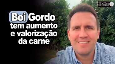 Boi gordo tem aumento da precificação e valorização da carne, informa Thiago Bernardino, do CEPEA