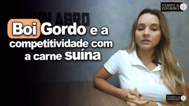 Boi gordo e a competitividade com a carne suína e outras proteínas. A análise de Isabella Camargo