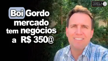 Boi gordo: mercado tem negócios a R$ 350@ e de olho nas exportações, informa Thiago Bernardino