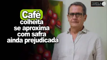 Café: colheita deve atrasar com safra ainda prejudicada pela seca e calor, analisa Lucio Dias
