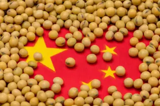 China tem queda de 36,80% na importação de soja em março