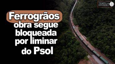 Ferrogrãos: obra segue bloqueada por liminar do Psol. Cabe ao STF liberar transporte de grãos do MT?