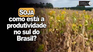 Soja na Bolívia tem produtividade média alta. E no Sul do Brasil? Alexandre Gazolla comenta