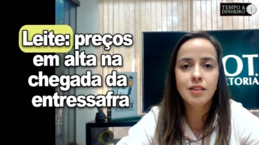 EXCLUSIVO: Leite: preços em alta na entressafra. Sobe o custo de produção, informa Juliana Pila, da Scot