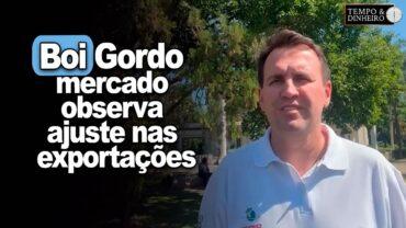 Boi gordo: mercado observa ajuste nas exportações e consumo interno, informa T Bernardino, do CEPEA