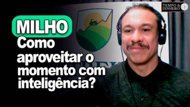 Milho com baixos estoques. Como aproveitar o momento com inteligência? Robson Polotto, orienta