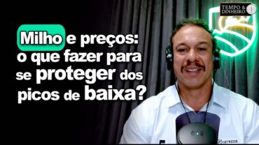 Milho e preços: o que fazer para se proteger dos picos de baixa? Robson Polotto, da Getreide explica