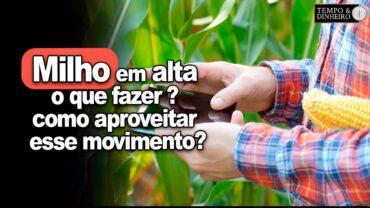Milho em alta: o que fazer? Robson Polotto, da Getreide, orienta como aproveitar esse movimento