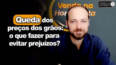 Mercado de sementes e queda dos preços dos grãos: o que fazer para evitar prejuízos?