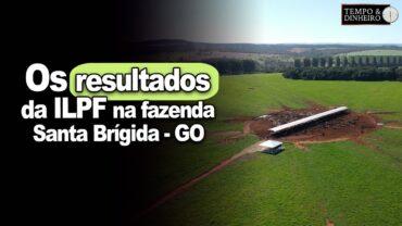 Francisco Matturro mostra os resultados da ILPF na fazenda Santa Brígida, em Ipameri, GO