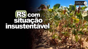 Rio Grande do Sul com situação insustentável: arresto da produção que sobrou nesta safra?