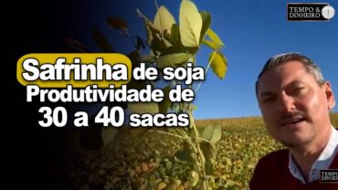 Safrinha de soja para produção de sementes no RS. Produtividade de 30 a 40 sacas, relata A. Gazolla