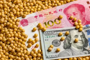 Governo chinês informa pela 1ª vez que soja do Brasil pode substituir os grãos dos EUA