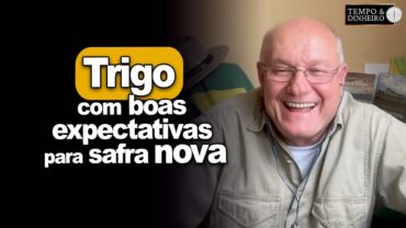 Trigo com boas expectativas para safra nova, analisa Brandalizze