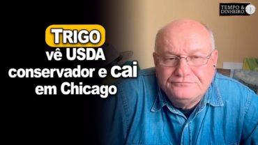 Trigo vê USDA conservador e cai em Chicago, afirma Brandalizze