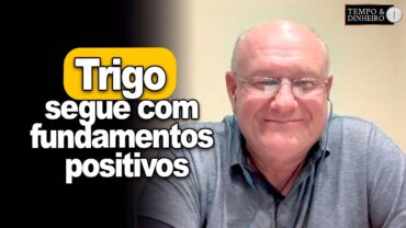 Trigo segue com fundamentos positivos, análise de V. Brandalizze