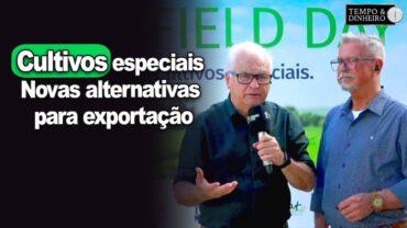Gergelim, feijão mungo e caupi,  além de milho doce e gergelim. Novas alternativas para exportação