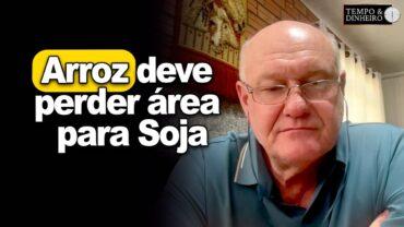 Arroz deve perder área para Soja, alerta Vlamir Brandalizze