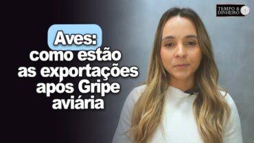 Aves: como estão as exportações após o registro da gripe aviária? E os embarques de suínos?