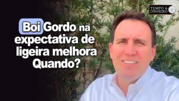 Boi gordo pressionado e expectativa de ligeira melhora em junho, informa Thiago Bernardino, do CEPEA