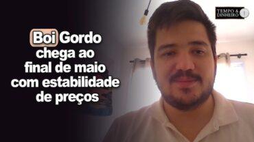 Boi gordo chaga ao ultimo dia de maio com estabilidade de preços, informa Luis Gustavo Sussumo