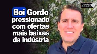 Boi gordo segue pressionado com ofertas mais baixas da indústria, informa Thiago Bernardino,do CEPEA