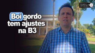 Boi gordo tem ajustes na B3 e mercado físico corrigindo queda recente, informa Thiago Bernardino