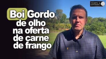 Boi gordo em compasso de espera de olho na oferta de carne de frango, informa Thiago Bernardino