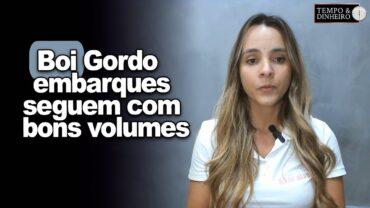 Boi gordo e exportações: embarques seguem com bons volumes, informa Isabella Camargo