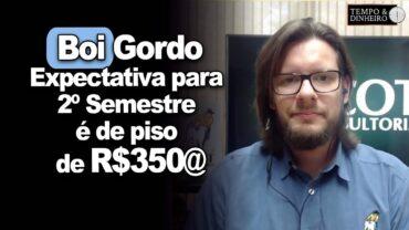 Boi gordo: pressão de maio deve continuar. Expectativa para 2º Semestre é de piso de R$350@