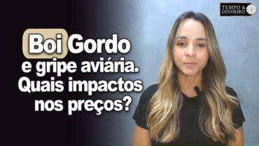 Boi gordo e gripe aviária. Quais impactos nos preços? Isabella Camargo, comenta