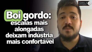 Boi gordo CEPEA: escalas mais alongadas deixam indústria mais confortável, informa Luiz G. Susumo