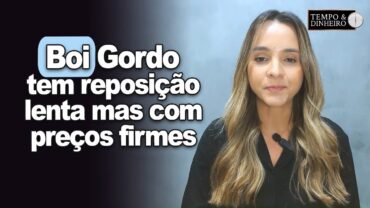 Boi gordo tem reposição lenta mas com preços firmes, comenta Isabella Camargo