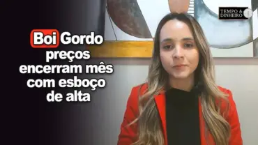 Boi gordo: preços encerram mês com esboço de alta, informa Isabella Camargo