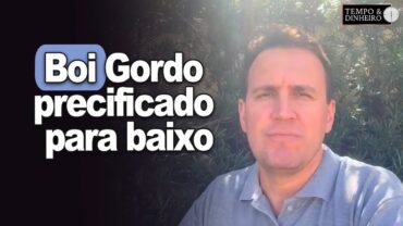 Boi gordo abre semana precificado para baixo, analisa Thiago Bernardino, do CEPEA