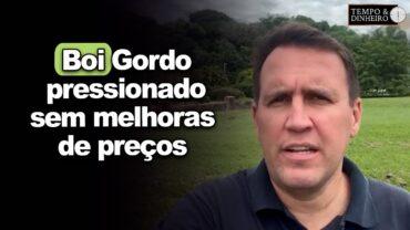 Boi gordo pressionado sem melhoras de preços e prêmios apenas para lotes maiores