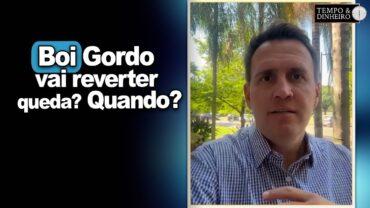 Boi gordo vai reverter queda? Quando? Thiago Bernardino, do CEPEA, comenta