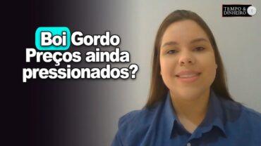 Boi gordo: escalas de abate estão entre 6 a 14 dias. Preços ainda pressionados?