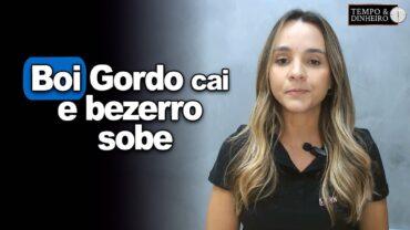 Boi gordo cai, bezerro sobe. Veja a relação de troca para reposição com Isabella Camargo