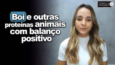 Boi e outras proteínas animais com balanço positivo na produção exportação, informa Isabella Camargo