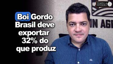 Boi gordo: exportações ganham destaque e Brasil deve exportar 32% do que produz, projeta USDA