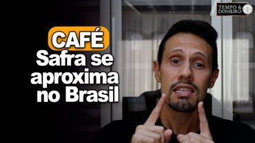 Café abre semana em queda. Safra se aproxima no Brasil, informa Bruno Labs