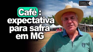EXCLUSIVO: Café: expectativa para safra em MG. Técnicos da FAEMG vão ao campo e registram condições das lavouras